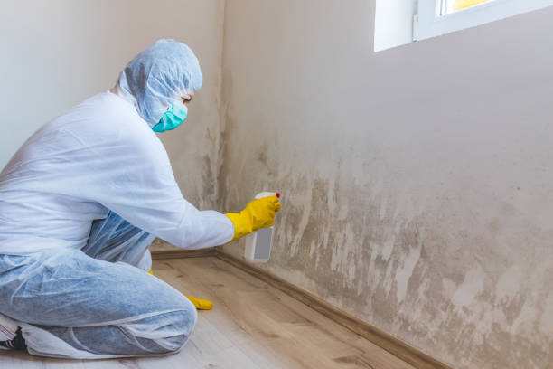 Licensed Mold Testing service in Gasburg, VA - WQB Mold Removal