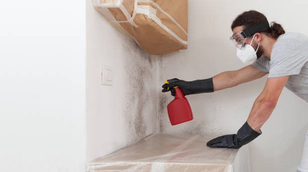 Professional Mold Testing technician working in Gasburg, VA