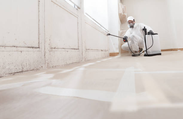24/7 Emergency Mold Testing experts in Gasburg, VA