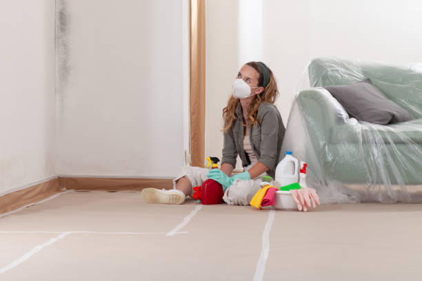 Reliable Mold Testing contractor in Gasburg, VA by WQB Mold Removal