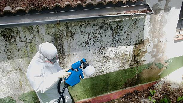 Top rated local Mold Testing specialists in Gasburg, VA